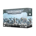 W40K : Adeptus Astartes Space Wolves - Chasseurs Gris 0