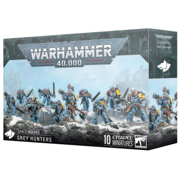 W40K : Adeptus Astartes Space Wolves - Chasseurs Gris