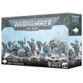 W40K : Adeptus Astartes Space Wolves - Chasseurs Gris 0
