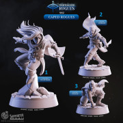 Cast n Play - Nightdagger Rogues - Caped Rogues