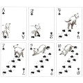 Pack of Dogs Playing Cards 2