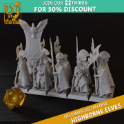 Titan Forges – Highbornes Elves – Royal Guards with EMC