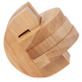 Brain Puzzle N03: Temporal Lobe 0