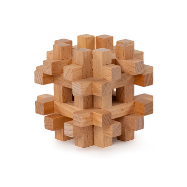 Brain Puzzle N05: Cerebellum