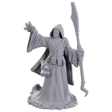 D&D Nolzur's Marvelous Miniatures: Star Spawn Larva Mage