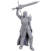 D&D Nolzur's Marvelous Miniatures: Blackguard
