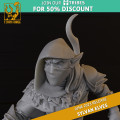 Titan Forge – Sylvans Elves – 5x Sentinels 5