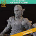 Titan Forge – Sylvans Elves – 5x Heath Riders 5