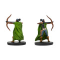 D&D Icons of the Realms: Starter Set 2