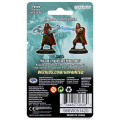 D&D Nolzur’s Marvelous Miniatures: Human Male Sorcerer 1