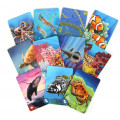 Ecosystem - Coral Reef 3