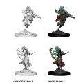 D&D Nolzur's Marvelous Miniatures: Air Genasi Female Rogue 1