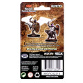 D&D Nolzur's Marvelous Miniatures: Aasimar Male Paladin 1
