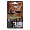 D&D Nolzur's Marvelous Miniatures: Female Gnome Wizard 1