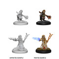 D&D Nolzur's Marvelous Miniatures: Female Gnome Wizard 2