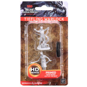 D&D Nolzur's Marvelous Miniatures: Male Tiefling Warlock