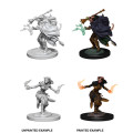 D&D Nolzur's Marvelous Miniatures: Female Tiefling Warlock 1