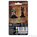 D&D Nolzur's Marvelous Miniatures: Green Hag & Night Hag 1
