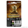 D&D Nolzur's Marvelous Miniatures - Carrion Crawler 1