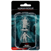 D&D Nolzur's Marvelous Miniatures: Male Human Rogue