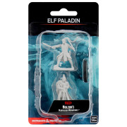 D&D Nolzur's Marvelous Miniatures: Male Elf Paladin