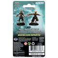 D&D Nolzur's Marvelous Unpainted Miniatures : Female Tabaxi Rogue 1