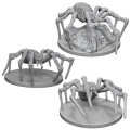 D&D Nolzur's Marvelous Miniatures : Spiders 1