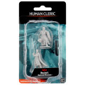 D&D Nolzur's Marvelous Miniatures - Male Human Cleric 0