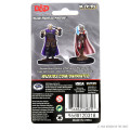 D&D Nolzur's Marvelous Miniatures - Human Ranger & Moon Elf Sorcerer 1