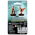 D&D Nolzur’s Marvelous Miniatures - Male Half-Elf Monk 1