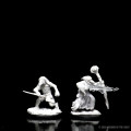 D&D Nolzur's Marvelous Miniatures: Kenku Adventurers 2