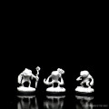 D&D Nolzur’s Marvelous Miniatures - Grung 2