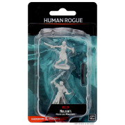 D&D Nolzur's Marvelous Miniatures: Female Human Rogue