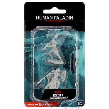 D&D Nolzur’s Marvelous Miniatures - Female Human Paladin