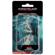 D&D Nolzur's Marvelous Miniatures: Female Human Paladin