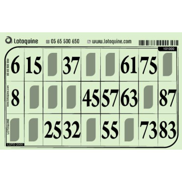 Lot de 500 cartons de loto