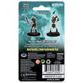 D&D Nolzur's Marvelous Unpainted Miniatures : Female Dragonborn Sorcerer 1