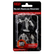 D&D Nolzur's Marvelous Miniatures: Male Dragonborn Paladin