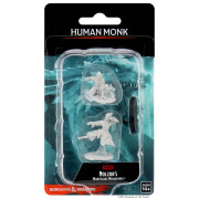 D&D Nolzur's Marvelous Miniatures: Female Human Monk