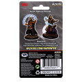 D&D Nolzur's Marvelous : Male Human Wizard 1