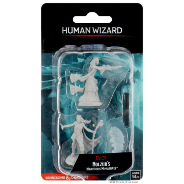 D&D Nolzur's Marvelous : Female Human Wizard