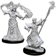 Pathfinder Battles Deep Cuts Unpainted Miniatures: Male Human Sorcerer