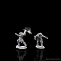 D&D Nolzur's Marvelous : Dragonborn Fighter 2