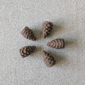 Cascadia - 3D Pinecone 7