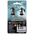 D&D Nolzur's Marvelous Miniatures: Gnoll & Gnoll Flesh Gnawer 1