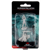 D&D Nolzur's Marvelous Unpainted Miniatures: Human Paladin