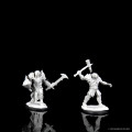 D&D Nolzur's Marvelous Miniatures: Male Dragonborn Paladin 1