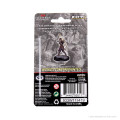 D&D Icons of the Realms Premium Figures - Elf Ranger 1