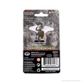 D&D Icons of the Realms Premium Figures - Aasimar Male Paladin 1