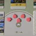 Earth - Objective Markers 14